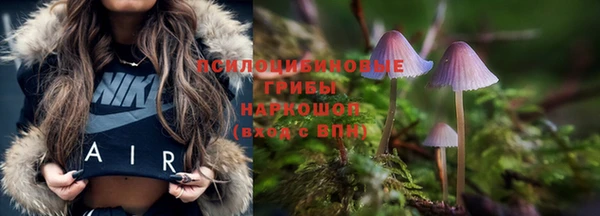 стаф Абдулино