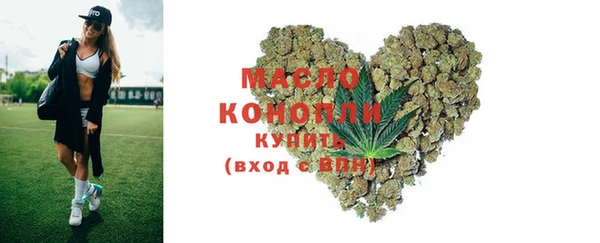 тгк Абаза