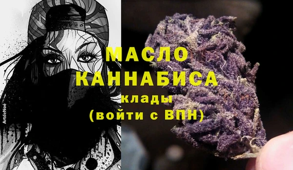 тгк Абаза