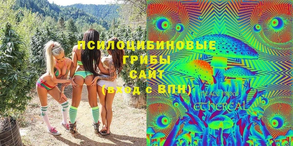 ешки Абинск