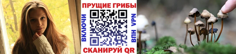 Галлюциногенные грибы ЛСД  как найти закладки  Фокино 